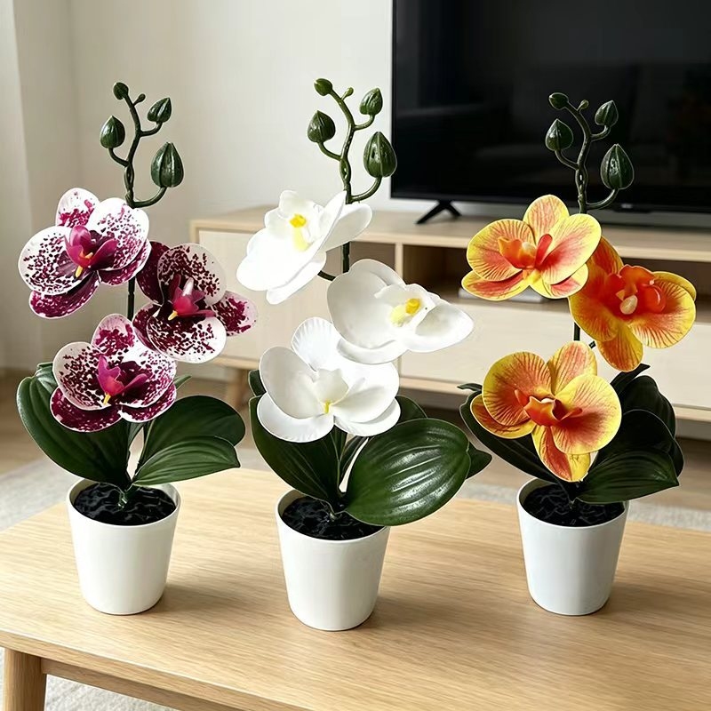 Orchid Potting Mix - 3 Çiçekli Mini Kelebek Orkide Saksı