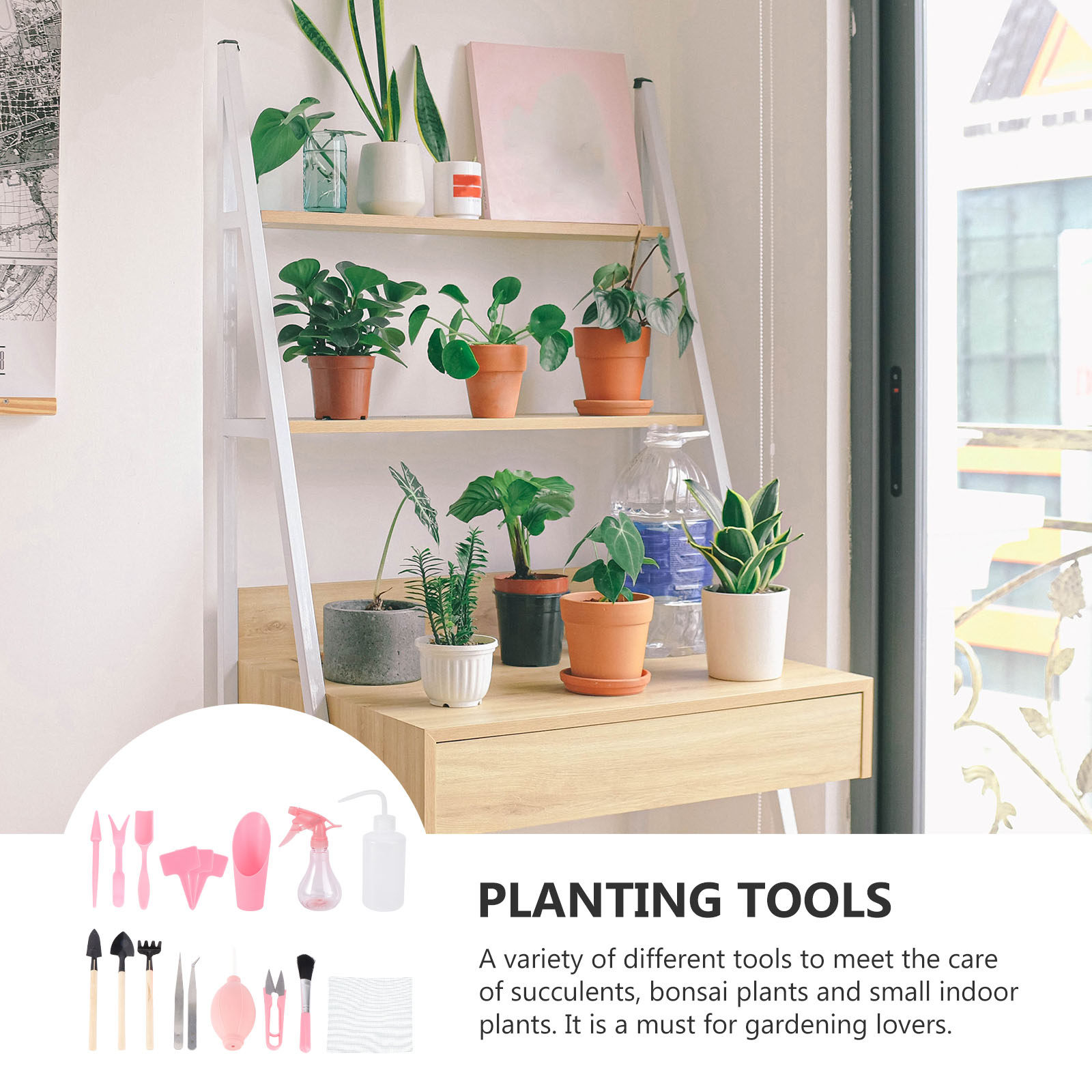 1 Set Mini Sukulent Dikim Alet - Gardening Tools And Accessories incelemesi ve fiyatı