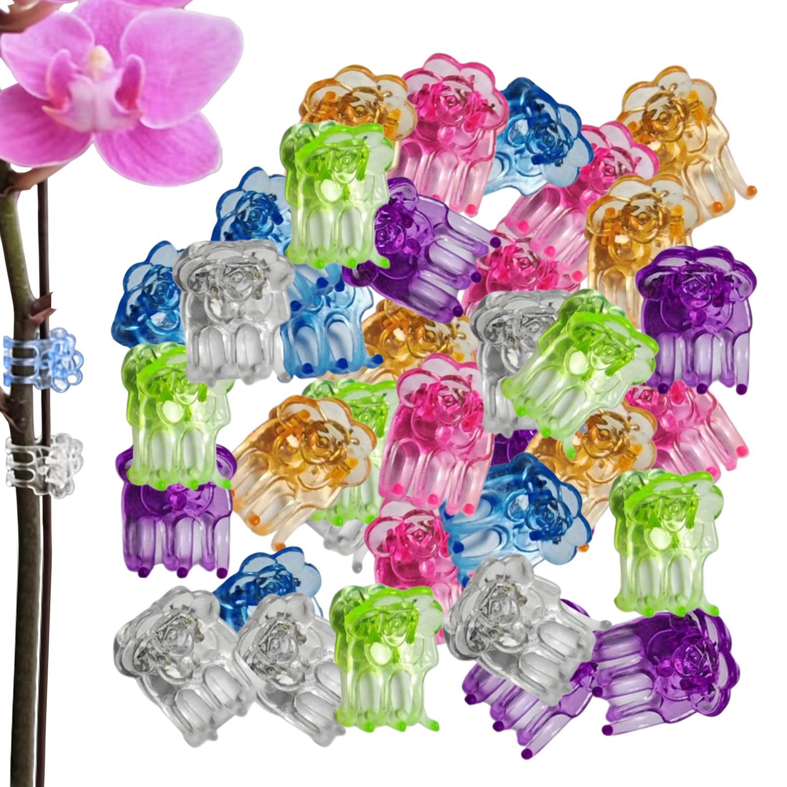 Orkide Klipsleri 60 Adet Keleb - Orchid Potting Mix incelemesi ve fiyatı