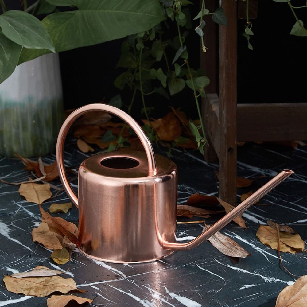 u 1.3L Bitki Yağmurlama Kabı P - Watering Can Long Spout incelemesi ve fiyatı