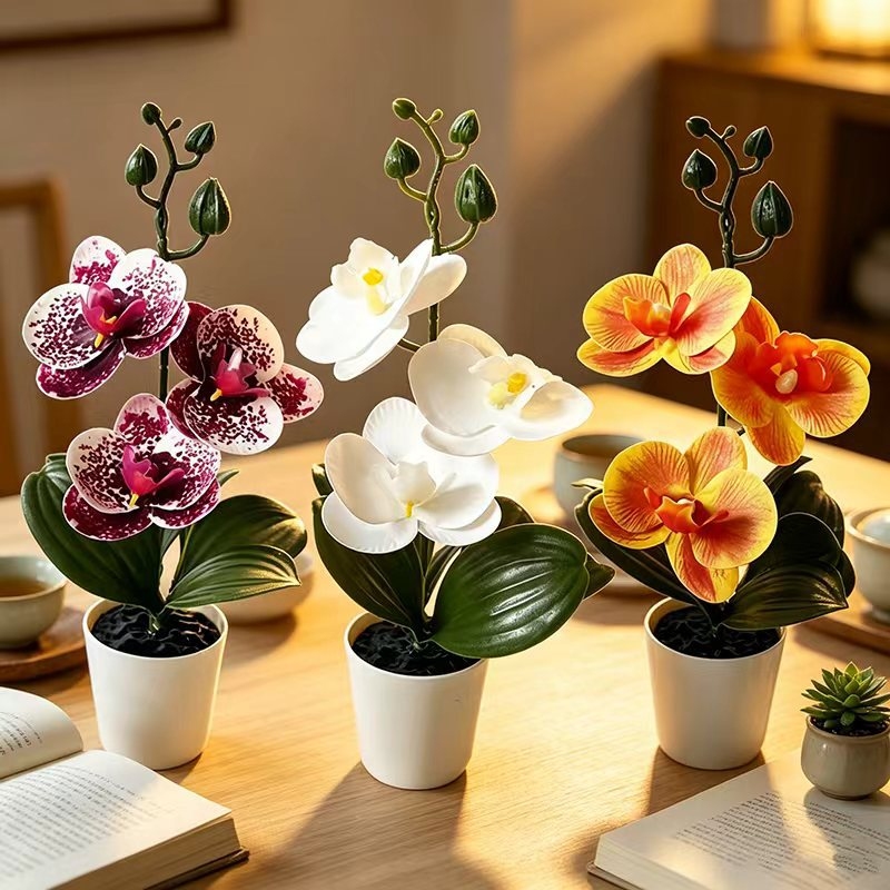 3 Çiçekli Mini Kelebek Orkide  - Orchid Potting Mix incelemesi ve fiyatı