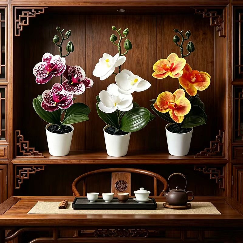 3 Çiçekli Mini Kelebek Orkide  - Orchid Potting Mix incelemesi ve fiyatı