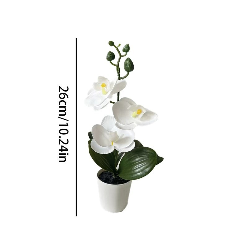 3 Çiçekli Mini Kelebek Orkide  - Orchid Potting Mix incelemesi ve fiyatı