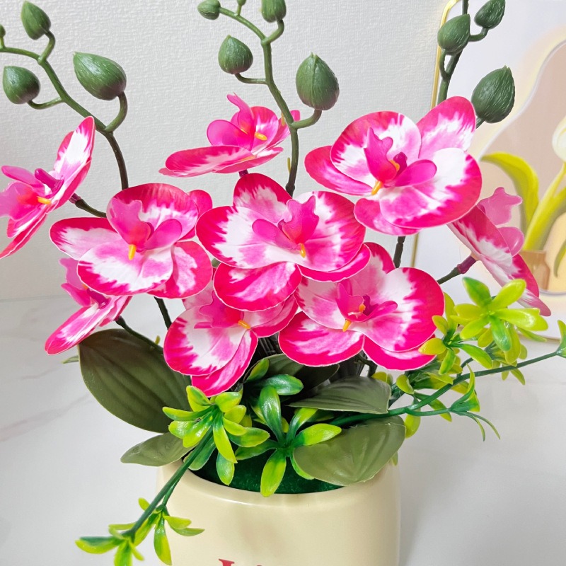 Zarif İskandinav Tarzı Lüks Si - Orchid Potting Mix incelemesi ve fiyatı