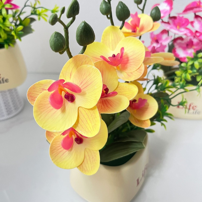 Zarif İskandinav Tarzı Lüks Si - Orchid Potting Mix incelemesi ve fiyatı