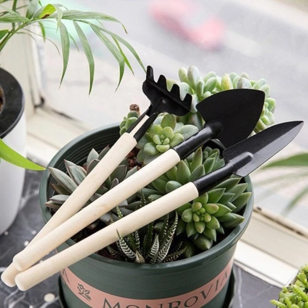 3 adet/takım Mini bahçe alet s - Gardening Tools On Sale incelemesi ve fiyatı