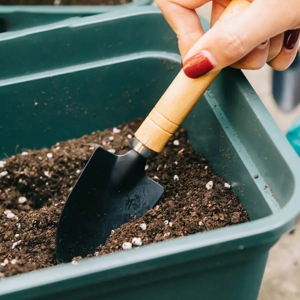 3 adet/takım Mini bahçe alet s - Gardening Tools On Sale incelemesi ve fiyatı