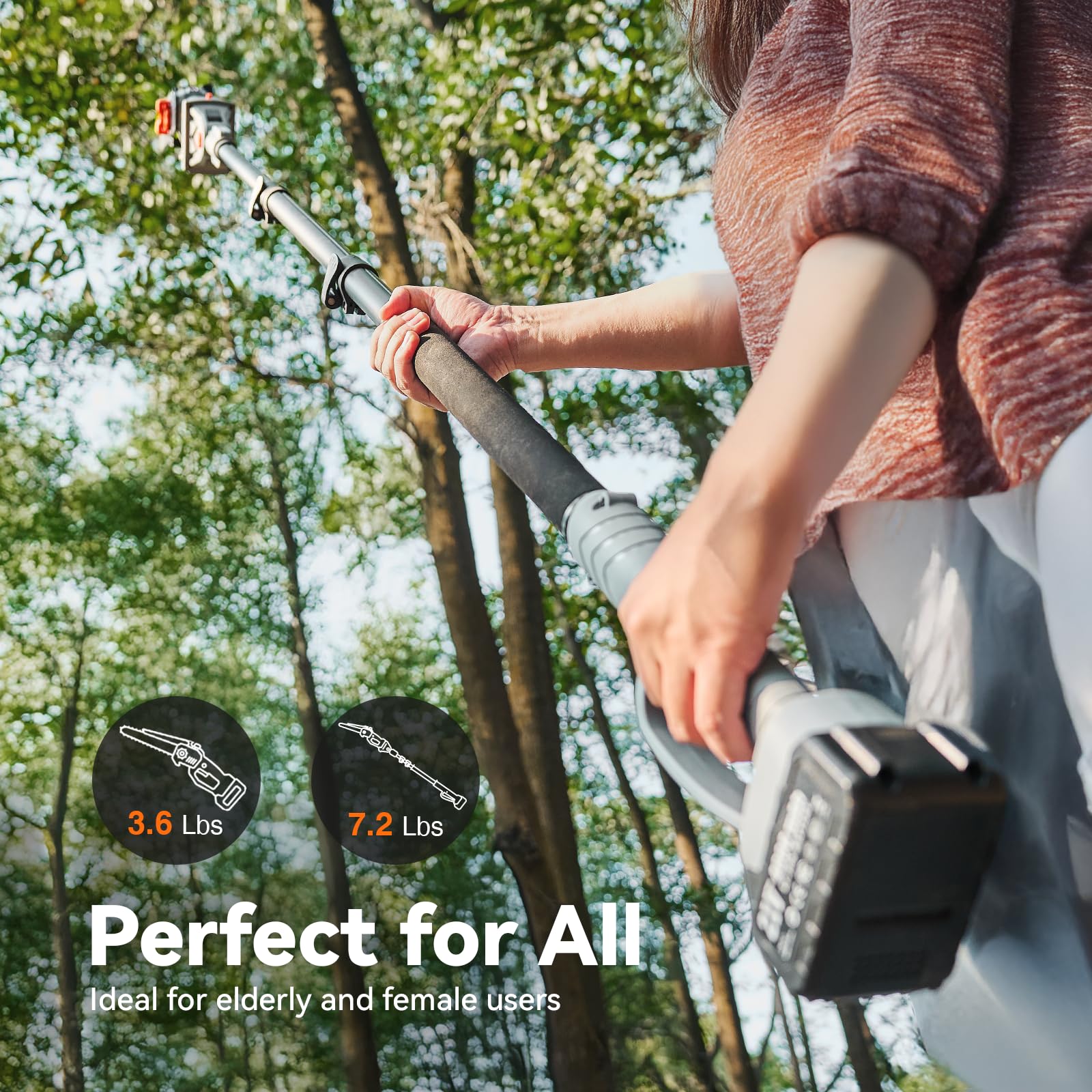 TaskStar 8 inç Uzatılabilir Bu - Gardening Tools Basic incelemesi ve fiyatı