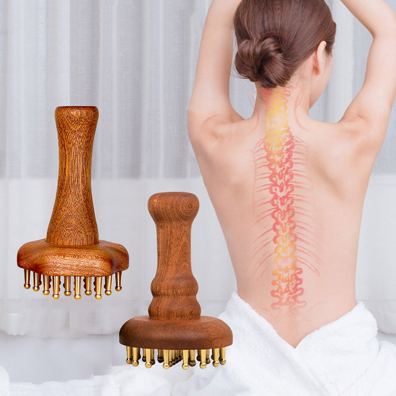 Dayanıklı Çin SPA Gua Sha Alet - Gardening Tools Long Handle incelemesi ve fiyatı