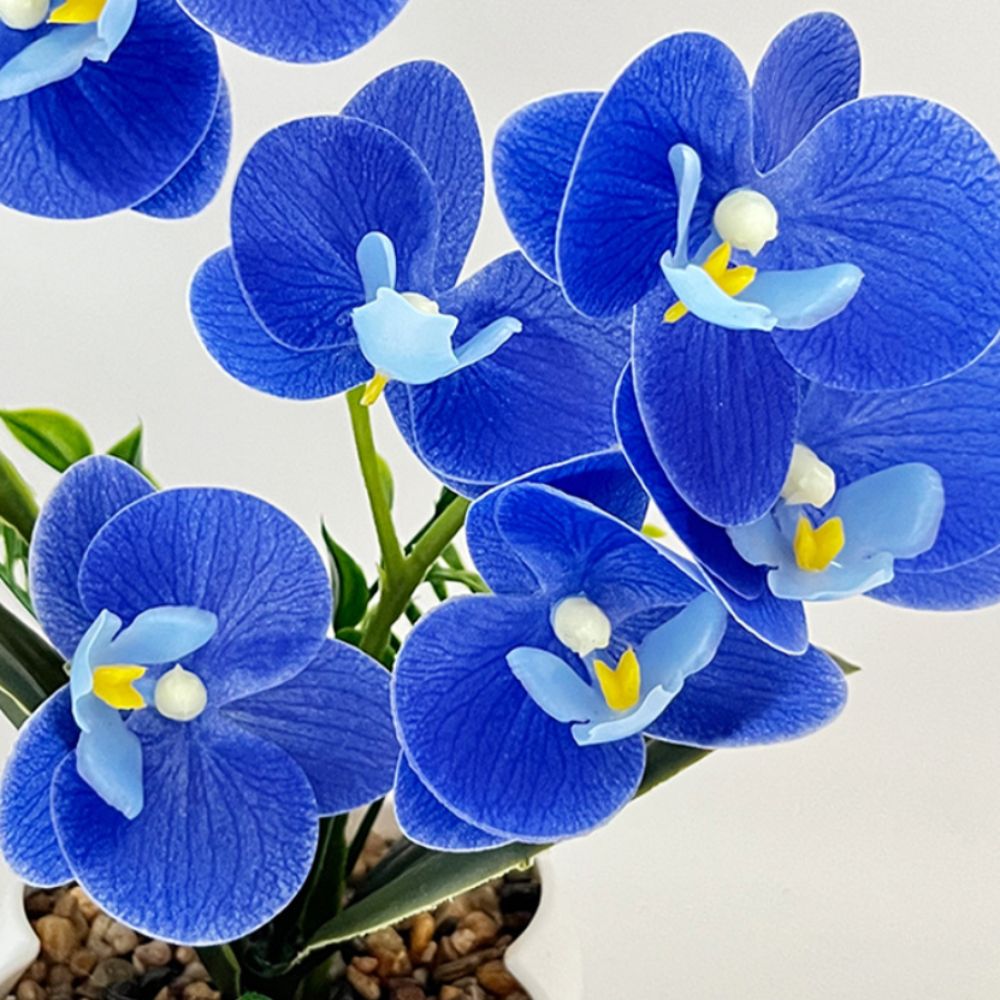 Çok Çiçekli Simüle Kelebek Ork - Orchid Potting Mix incelemesi ve fiyatı