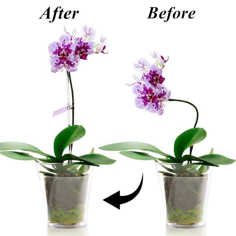 Yeniden Kullanılabilir Şeffaf  - Orchid Potting Mix incelemesi ve fiyatı