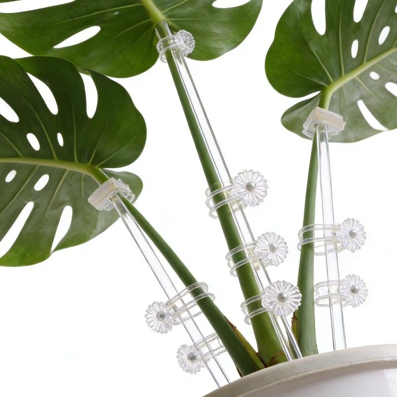 Yeniden Kullanılabilir Şeffaf  - Orchid Potting Mix incelemesi ve fiyatı
