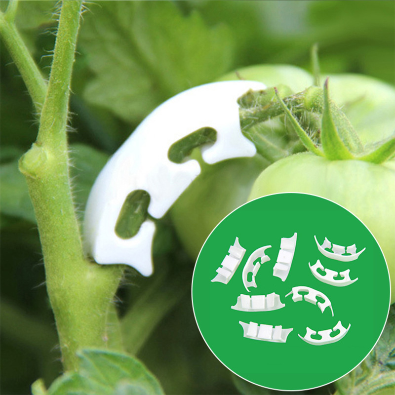 50/100 adet Botany-kök asma çe - Gardening Tools Bundle incelemesi ve fiyatı