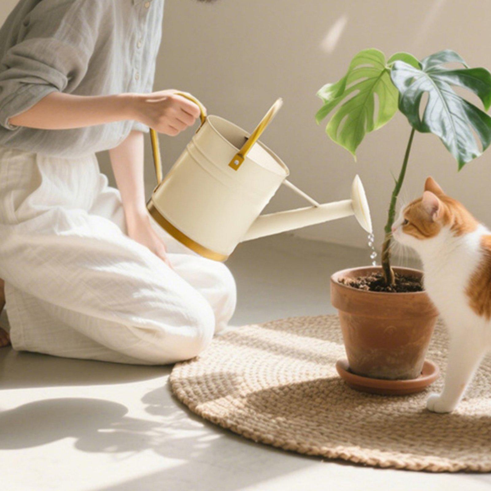 Uzun Ağızlı Sulama Kabı, Balko - Watering Can Long Spout incelemesi ve fiyatı