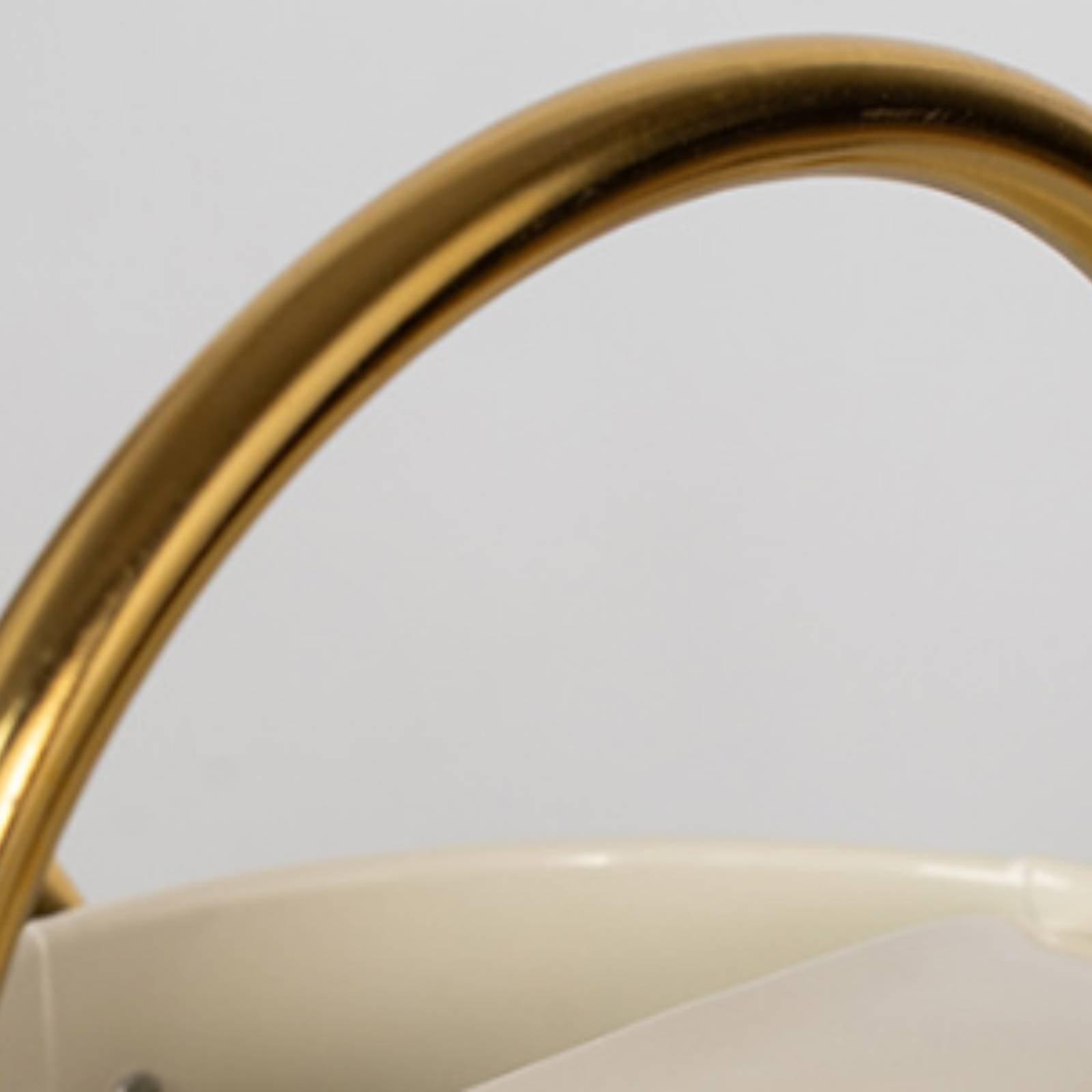 Uzun Ağızlı Sulama Kabı, Balko - Watering Can Long Spout incelemesi ve fiyatı