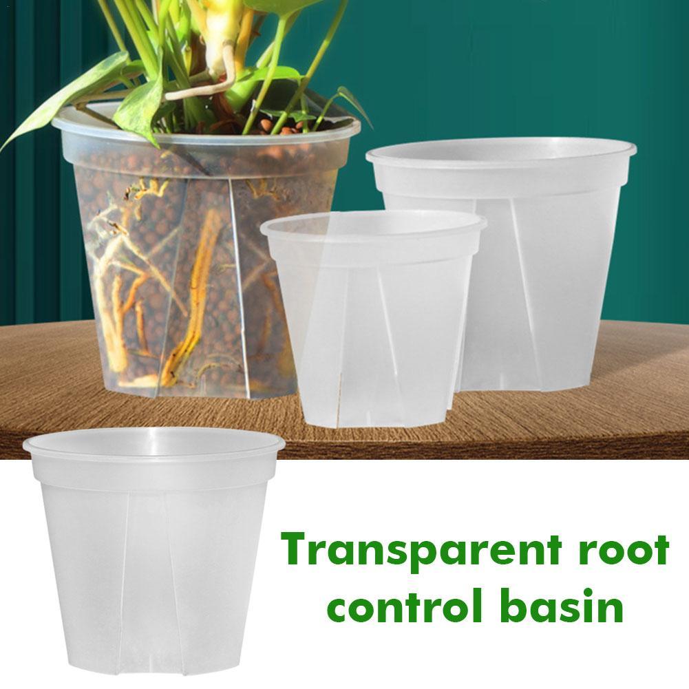 Şeffaf Plastik Saksılar Kök Ko - Orchid Potting Mix incelemesi ve fiyatı