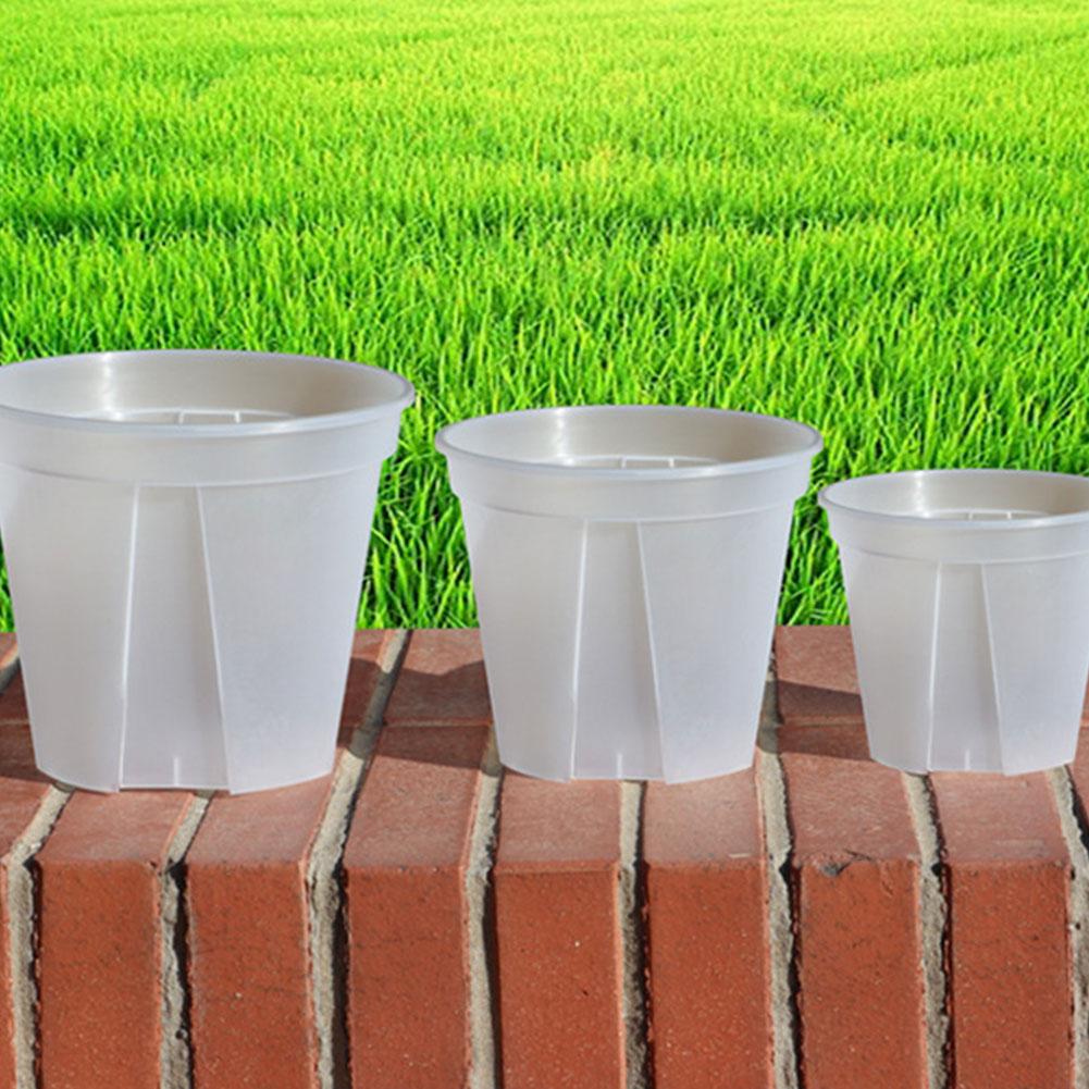 Şeffaf Plastik Saksılar Kök Ko - Orchid Potting Mix incelemesi ve fiyatı