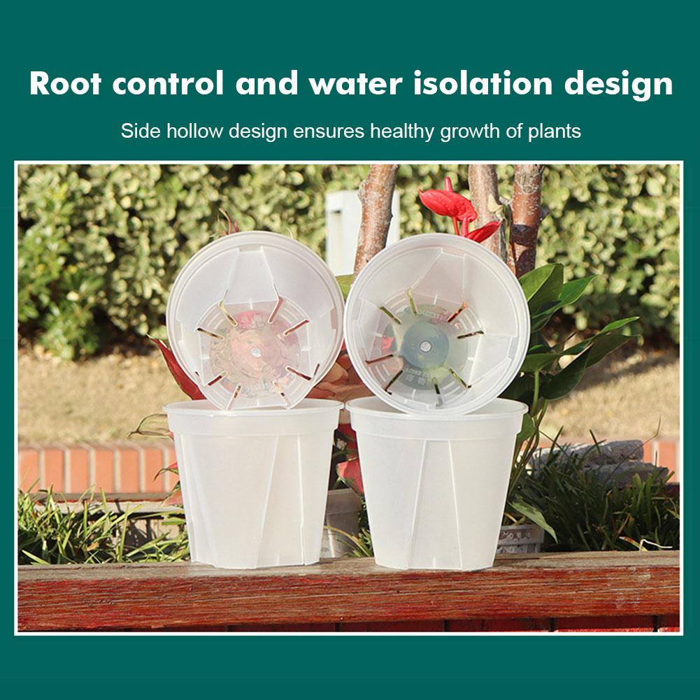 Şeffaf Plastik Saksılar Kök Ko - Orchid Potting Mix incelemesi ve fiyatı