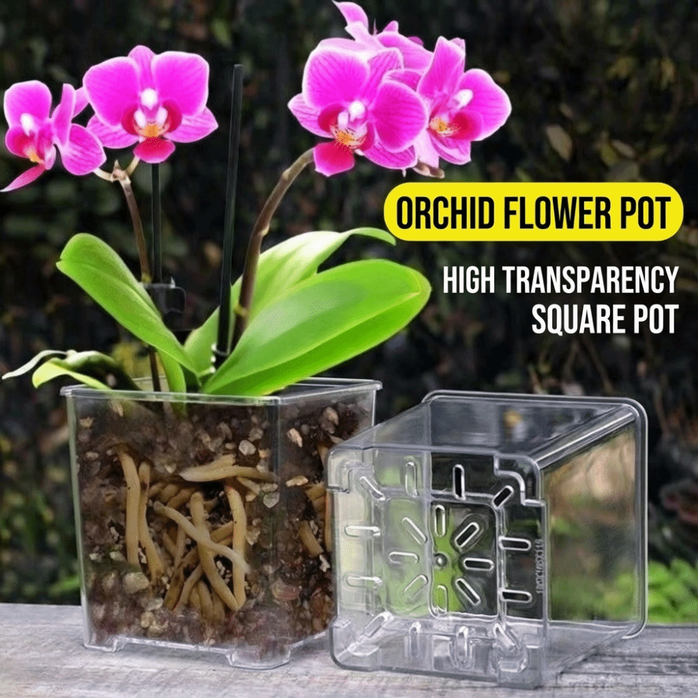 5 Adet/Kit Şeffaf Plastik Orki - Orchid Potting Mix incelemesi ve fiyatı